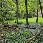 J&D Hand Crafted Cabin